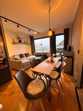 Brauni City Apartment